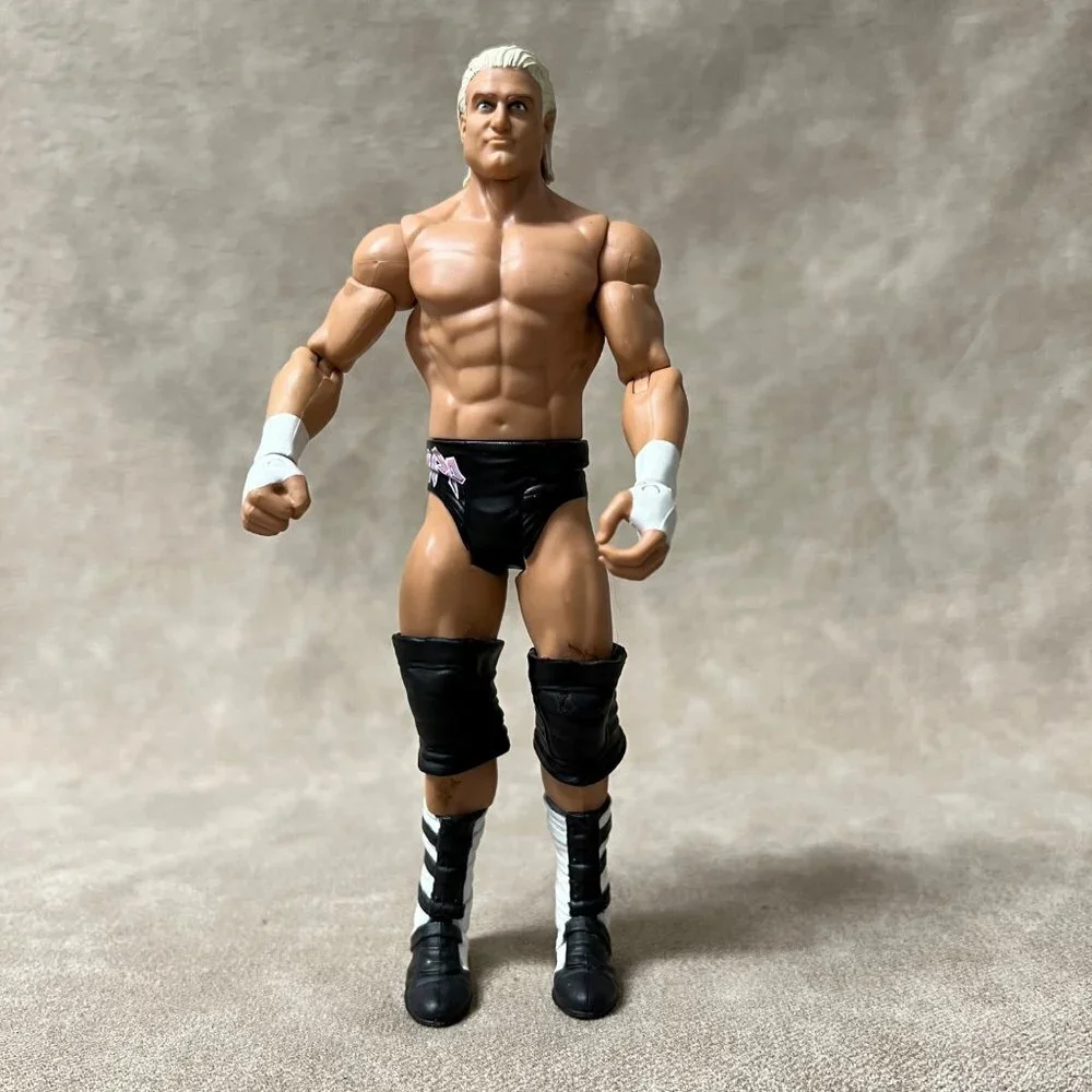WWE Dolph Ziggler Action Figure, Wrester 2011 Mattel